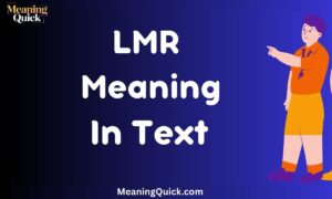 LMR Meaning In Text