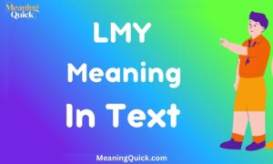 LMY Meaning In Text