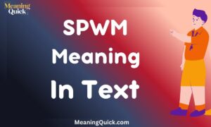 SPWM Meaning In Text