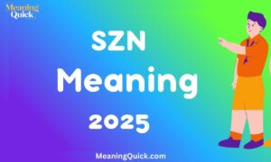 SZN Meaning