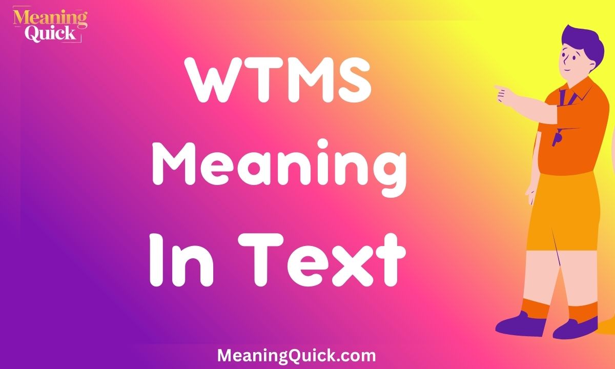 WTMS Meaning In Text