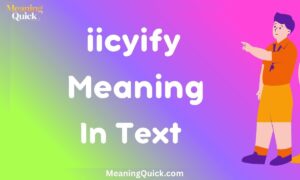 iicyify Meaning In Text