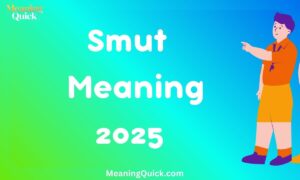 Smut Meaning