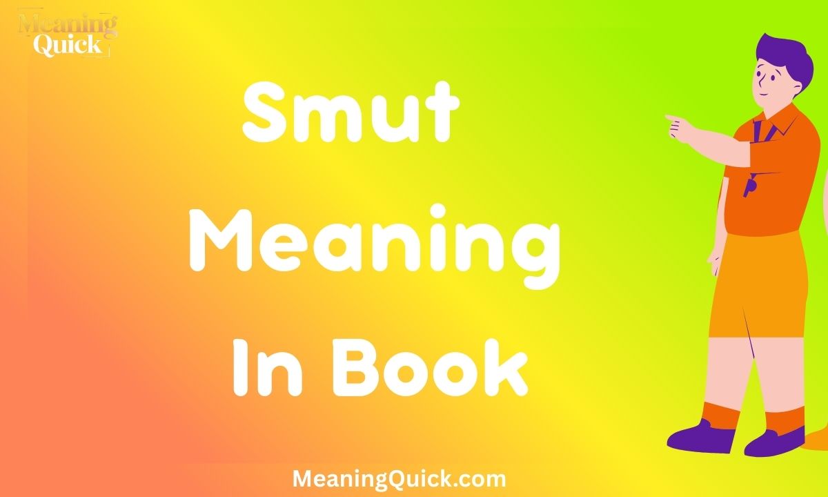 Smut Meaning In Book