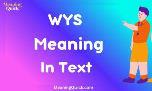 WYS Meaning in Text