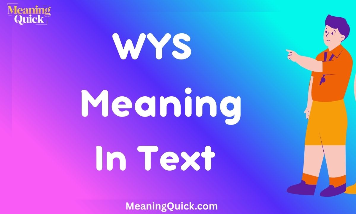 WYS Meaning in Text